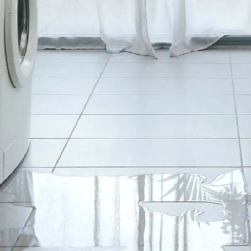 Appliance Leak Cleanup in Hood River County, OR